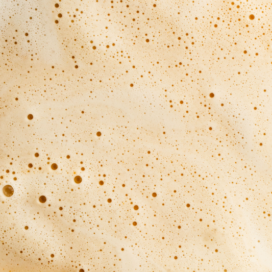 Morning latte original chaï bio - 2